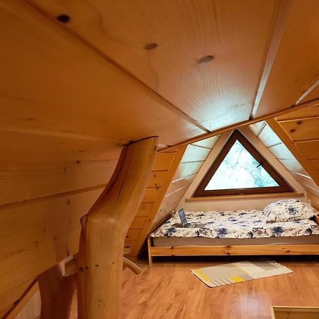Apartament An-Mi Zakopane Dış mekan fotoğraf